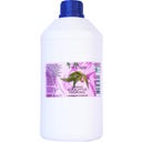 Biopark Cosmetics Idrolato di Eucalipto Bio - 1 L
