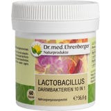 Dr. med. Ehrenberger Lactobacillus 10 in 1
