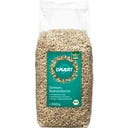 Davert Bio Sonnenblumenkerne - 500 g