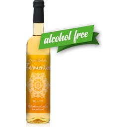 Obsthof Retter Kombucha Fermentada Bio - 500 ml