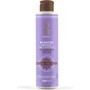 Rasayana Enyhe sampon - 200 ml