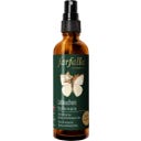 Farfalla Gingerbread Room Spray - 75 ml