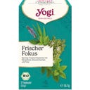 Yogi Tee Fresh Focus Organic Tea - 17 tea bags