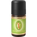 PRIMAVERA Pine Needle Essential Oil - 5 ml