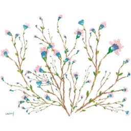 Carry Bottle Flaska - Hanami - 1 st.
