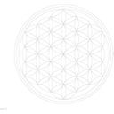 Carry Bottle Flaska - Flower of Life - 1 st.
