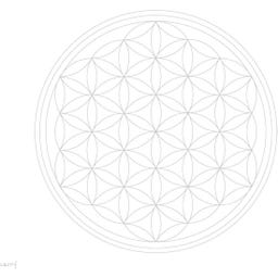 Carry Bottle Flaska - Flower of Life - 1 st.