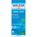 Weleda Déodorant à la Sauge - 100 ml