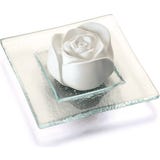 Aroma Stone "Rose Petals", transparent glass plate