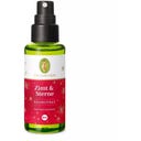 PRIMAVERA Biologische Kaneel & Sterren Kamerspray