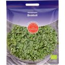 Germinados de Brócoli - 25 g