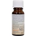 CMD Naturkosmetik Био масло от морски зърнастец Sandorini - 10 ml