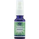 Essence of Light Energy, Identity 20 ml
