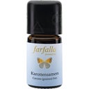 Farfalla Carrot Seed Selection - 5 ml