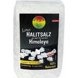 Bioenergie LOTUS Coarse Halite Salt