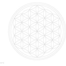 Carry Bottle Flower of Life Бутилка за вода - 1 бр.