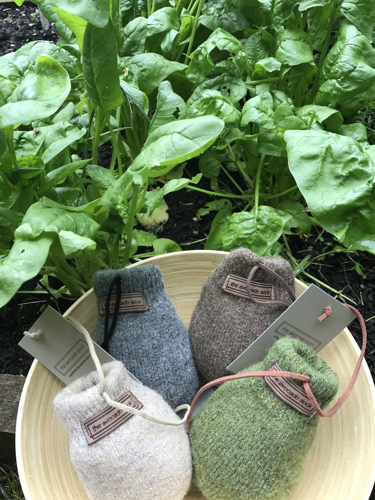 The Avocado Sock Olive - 1 Stk
