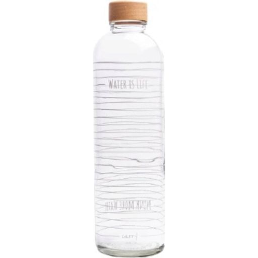 Carry Bottle Steklenica - Water is Life 1 liter - 1 k.