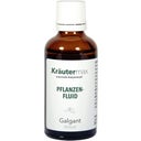 Kräutermax Pflanzenfluid Galgant - 50 ml