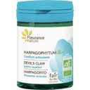 Fleurance Nature Organic Harpagophytum Tablets - 60 Tablets
