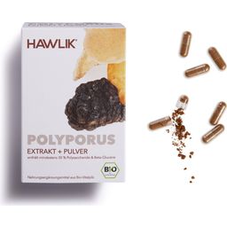 Polyporus Extrakt + Pulver Kapseln Bio - 120 Kapseln