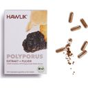 Polyporus Extrakt + Pulver Kapseln Bio - 60 Kapseln