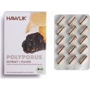 Polyporus Extract + Organic Powder Capsules - 60 Capsules