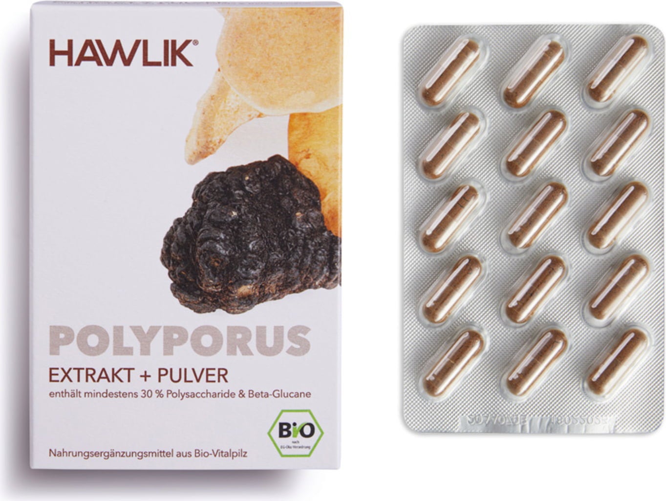 Polyporus Extrakt + Pulver Kapseln Bio - 60 Kapseln