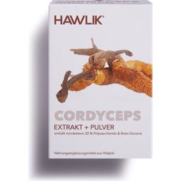 Hawlik Cordyceps en Gélules - Extrait + Poudre - 120 gélules