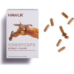 Cordyceps Extract + Powder Capsules - 120 Capsules