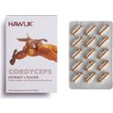 Cordyceps Extract + Powder Capsules - 60 Capsules