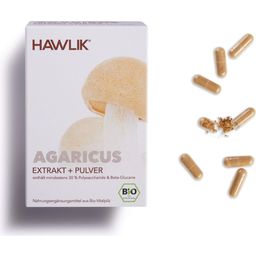 Agaricus ekstrakt + Agaricus v prahu - organske kapsule - 120 kap.