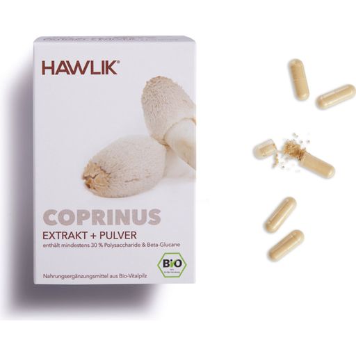 Coprinus Extrakt + Pulver Kapseln Bio - 120 Kapseln