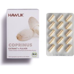 Coprinus Bio en Gélules - Extrait + Poudre - 120 gélules