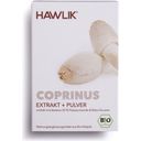 Coprinus Extrakt + Pulver Kapseln Bio - 60 Kapseln