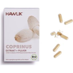 Coprinus ekstrakt + Coprinus v prahu - organske kapsule - 60 kap.