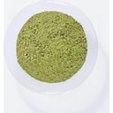COLOR PREP Предварителна пигментация и грунд за здравина на цвета - 100 g