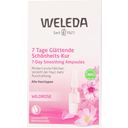 Wild Rose Smoothing 7-Day Beauty Ampoules - 5.6 ml