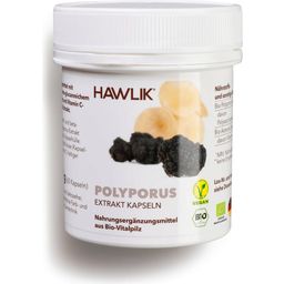 Hawlik Polyporus ekstrakt kapsułki, bio - 60 Kapsułki