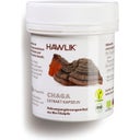 Chaga Extrakt Kapseln, Bio - 60 Kapseln