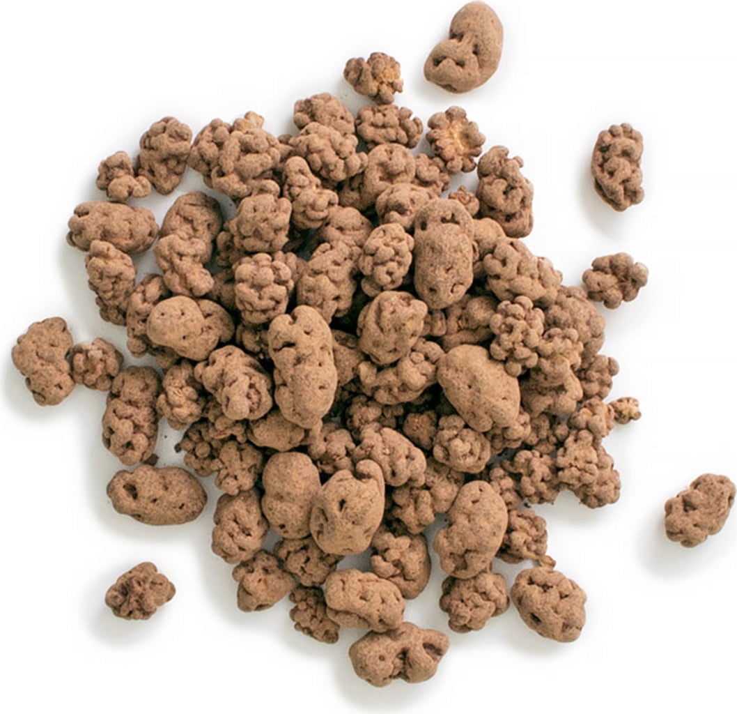 Terra Elements Maulbeeren in Rohkost-Schokolade - 100 g