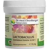 Dr. med. Ehrenberger Bio- & Naturprodukte Lactobacillus Darmbakterien 10v1