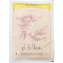 Phitofilos Poudre de Rhubarbe Pure - 100 g
