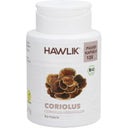 Coriolus Powder Capsules, Organic - 120 Capsules