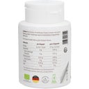 Coriolus Powder Capsules, Organic - 120 Capsules