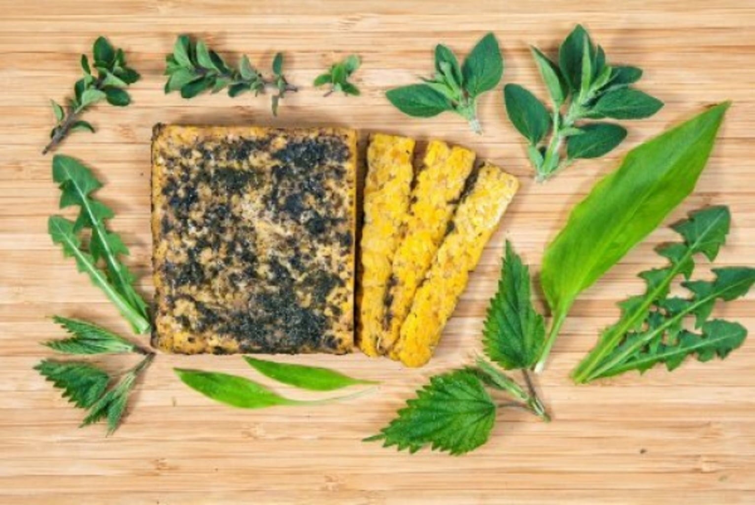 Tempehmanufaktur Tempeh Lupins et Herbes Sauvages Bio