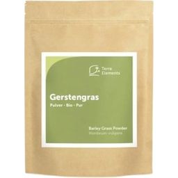 Terra Elements Organic Barley Grass Powder - 500 g
