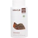 Hawlik Chaga ekstrakt kapsułki, bio - 240 Kapsułki
