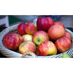 BioKing Ocet balsamiczny jabłkowy bio
