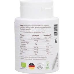 Polyporus Powder Capsules, Organic - 120 Capsules